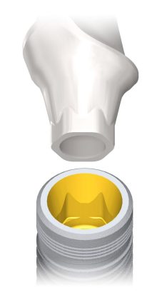 nobel